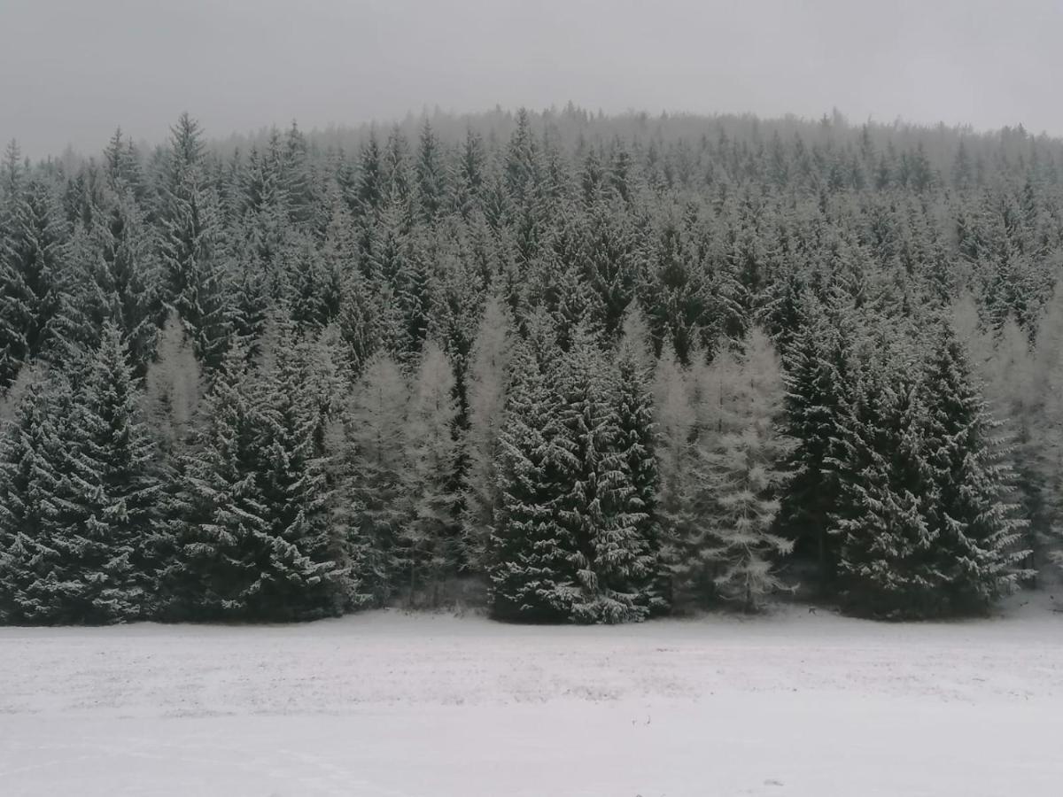 Kvapil Lipova-lazne