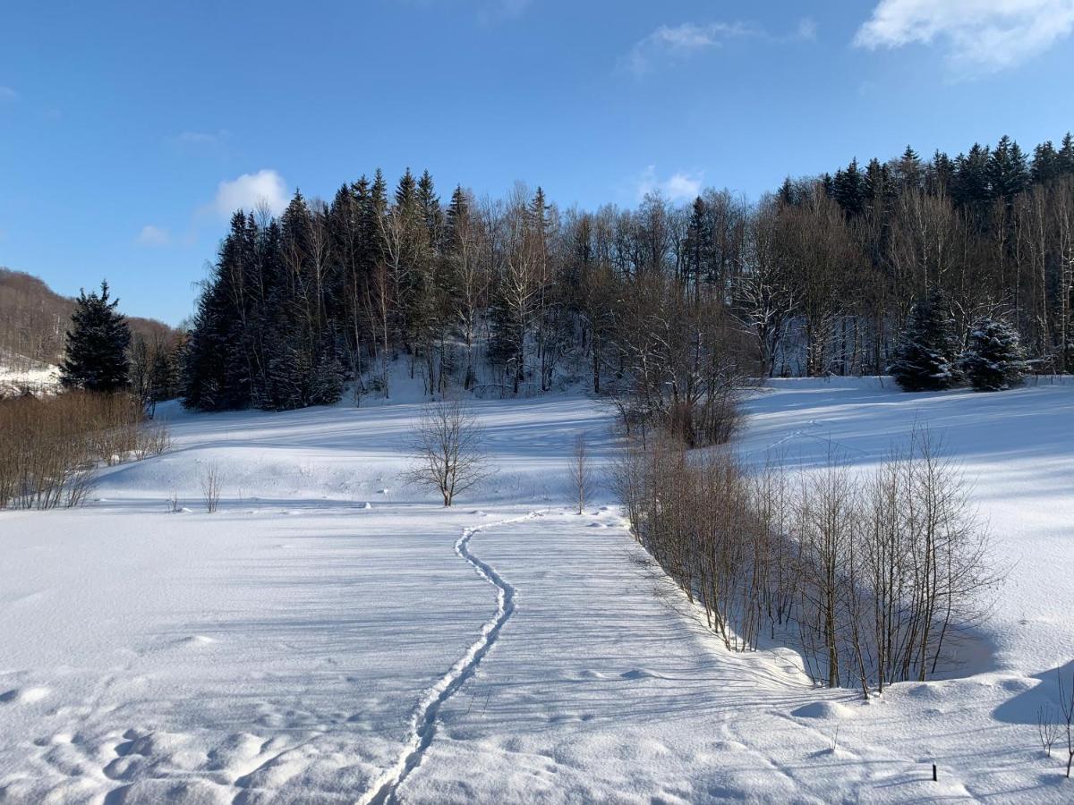 Apartmán Kvapil Lipova-lazne Horni Lipova