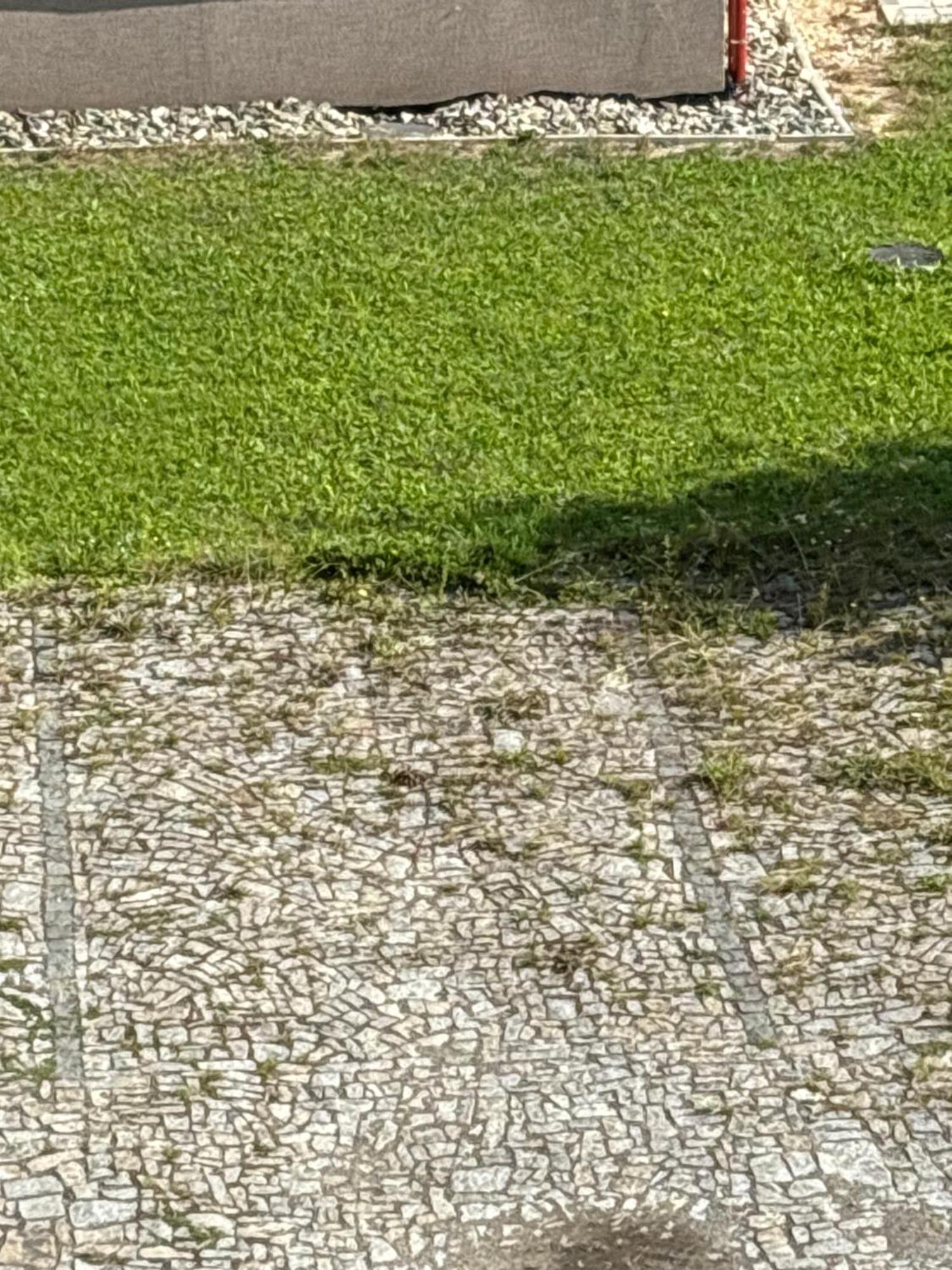 Apartmán Kvapil Lipova-lazne