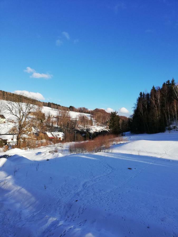 Kvapil Lipova-lazne Apartmán